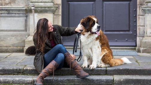 Visitor and Dog on Florence Court House Step